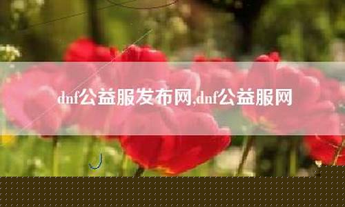 公益服网(公益服网络游戏) (4)